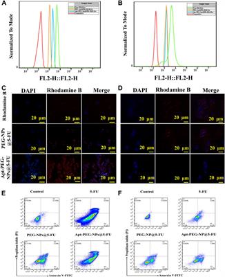 Using magnetic mesoporous silica nanoparticles armed with EpCAM aptamer as an efficient platform for specific delivery of 5-fluorouracil to colorectal cancer cells